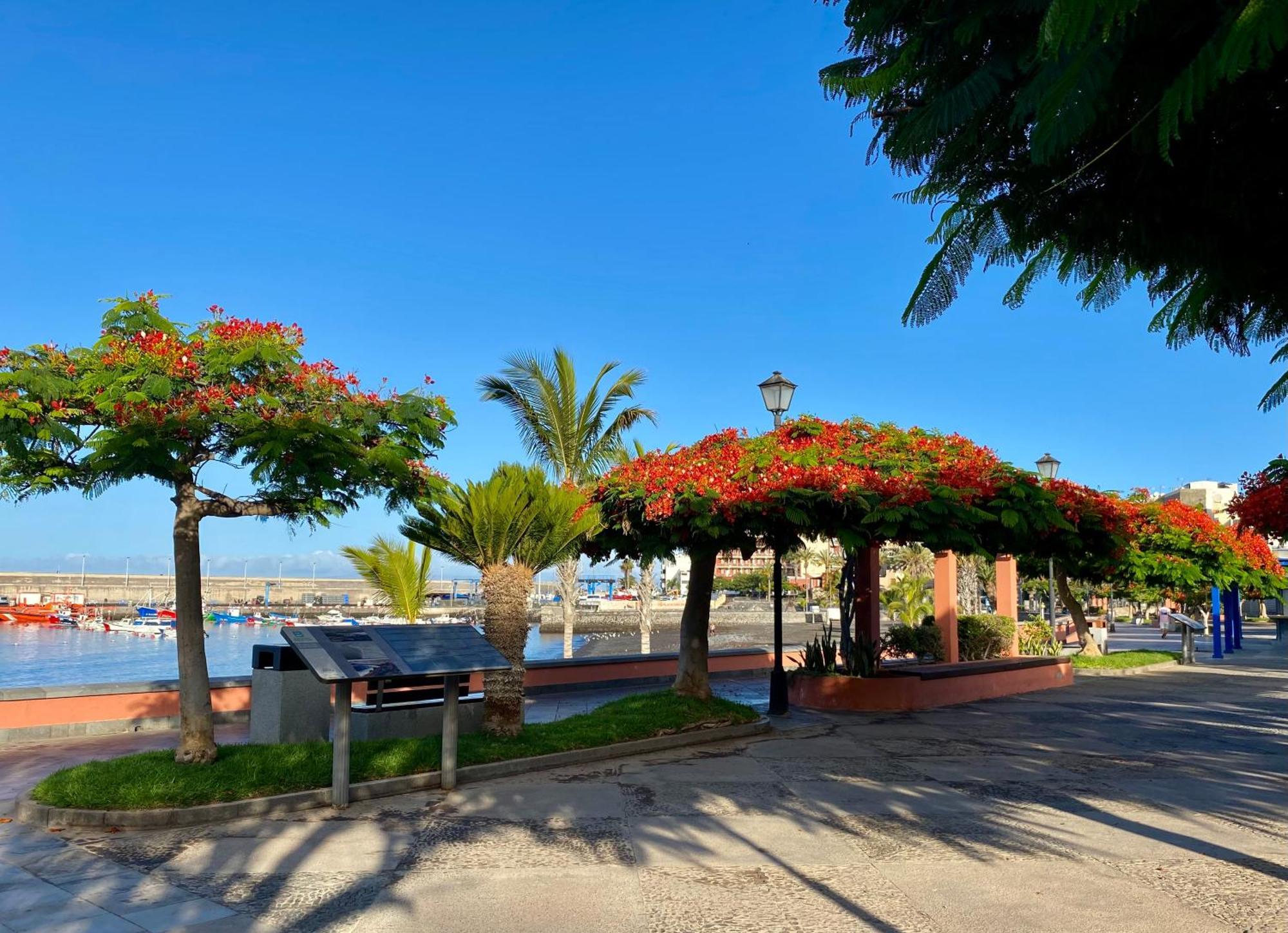 Casa Antonio - Apartamento Luna Playa de San Juan  Luaran gambar