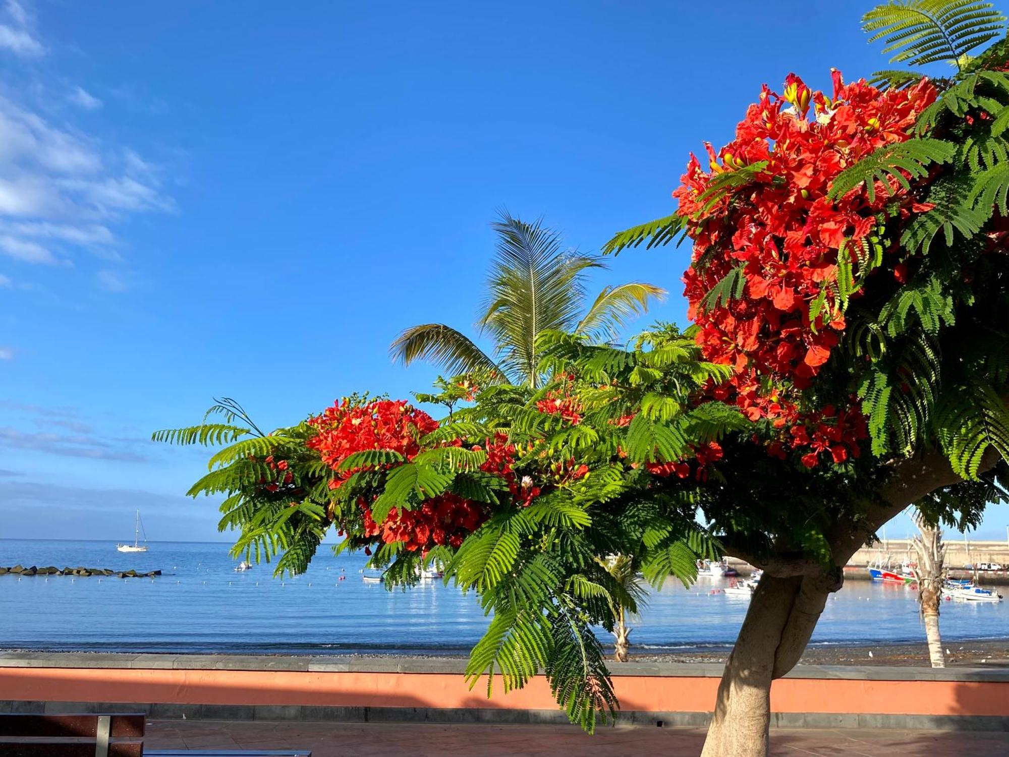 Casa Antonio - Apartamento Luna Playa de San Juan  Luaran gambar